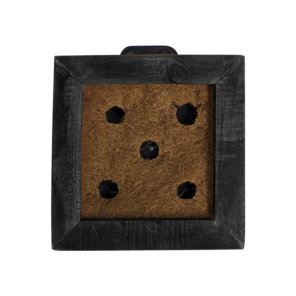 Cuadro Vivo - Muro Verde - Terrario Pared - Cuadro Suculenta