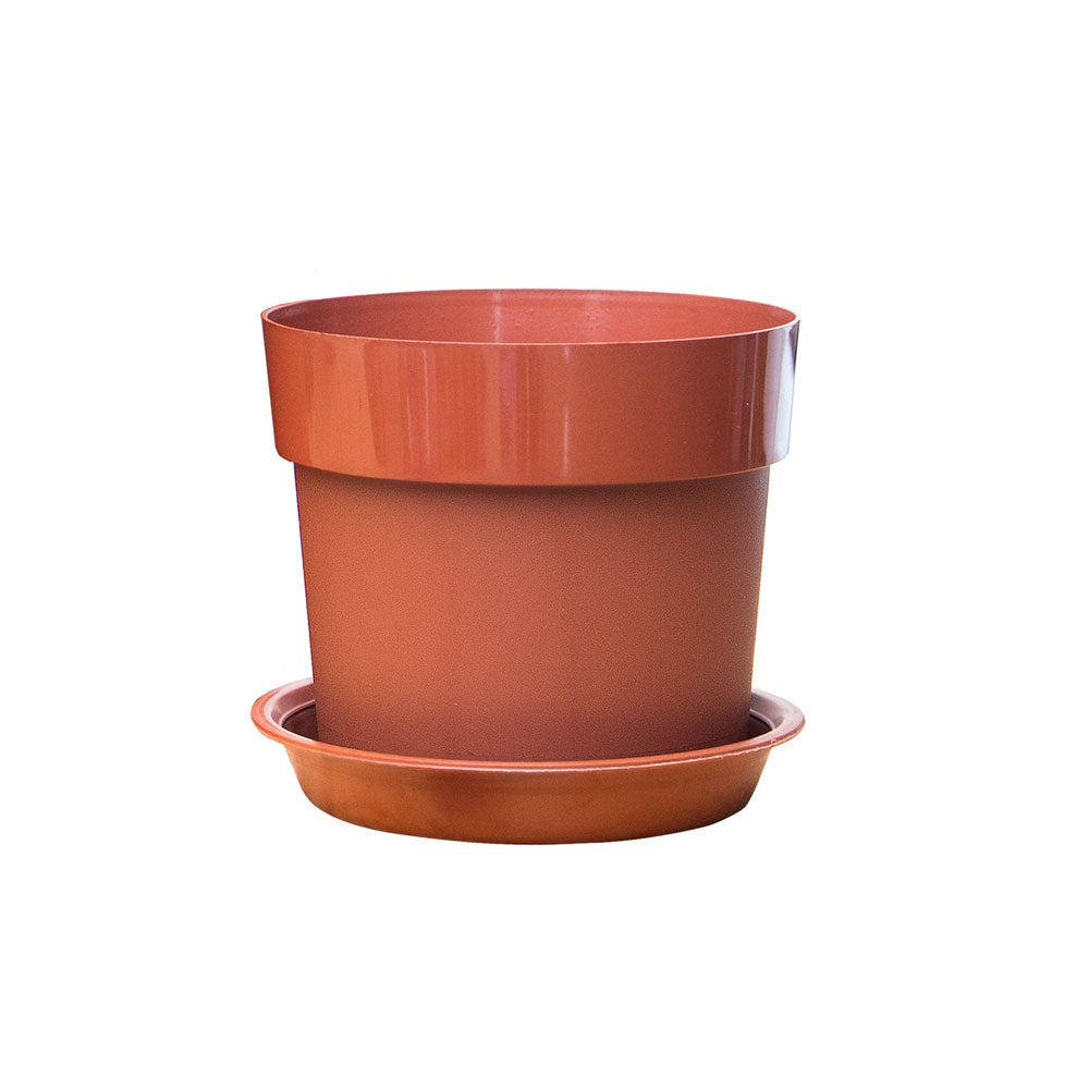 SET X 3 - Matera Gaia 14 cm