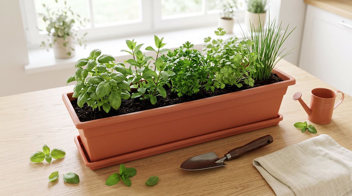 Jardinera plástica de 60 cm con bandeja sembrada con albahaca, hierbabuena, perejil, cilantro y cebollín sobre una mesa de cocina