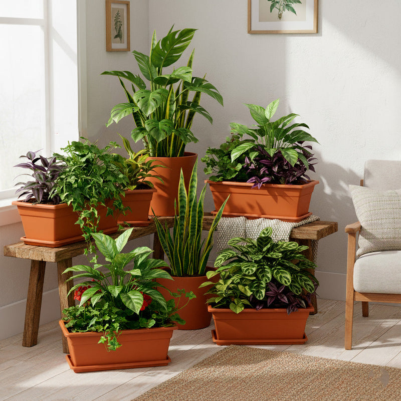 Jardineras