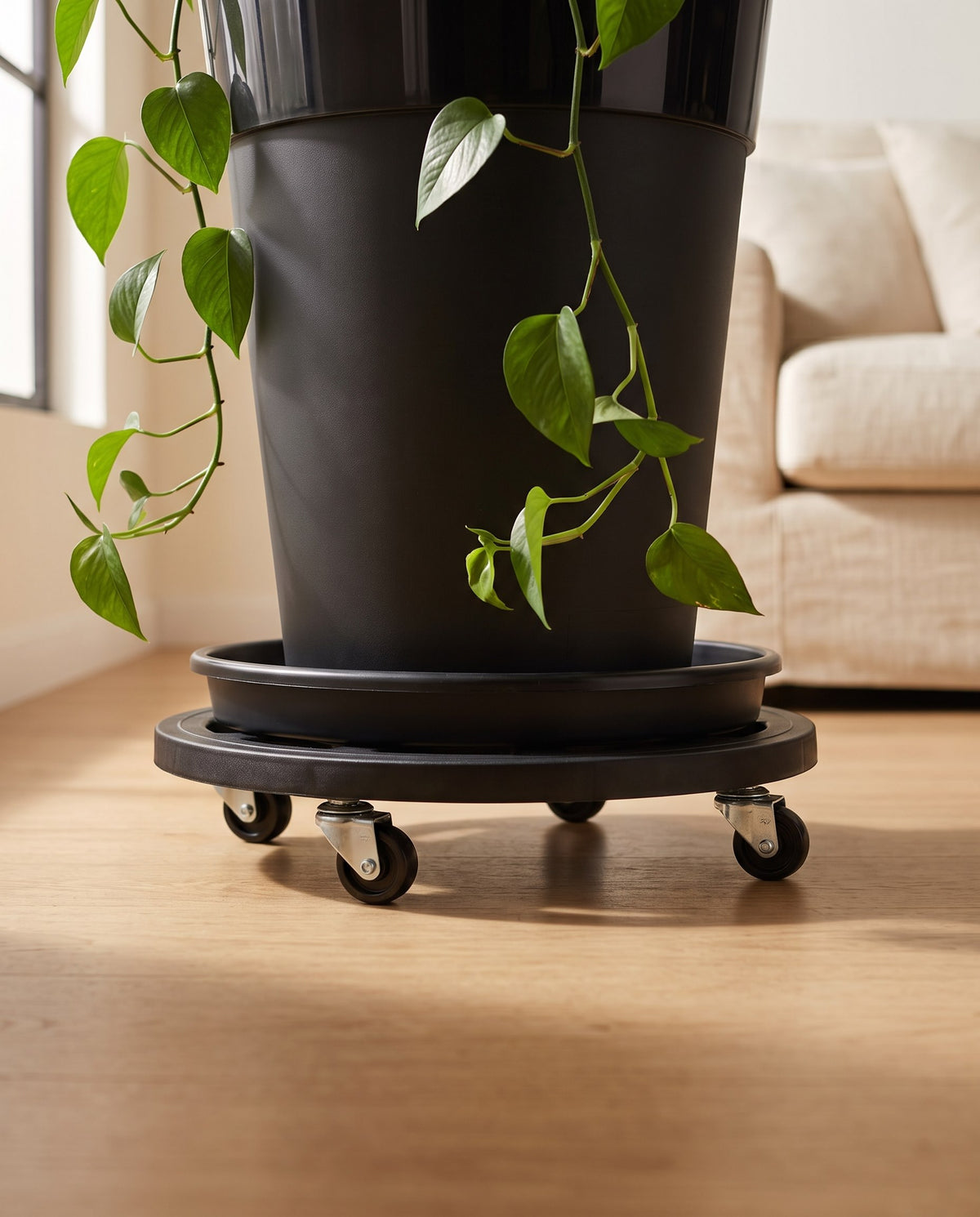 Base plástica con rodachines bajo matera con planta