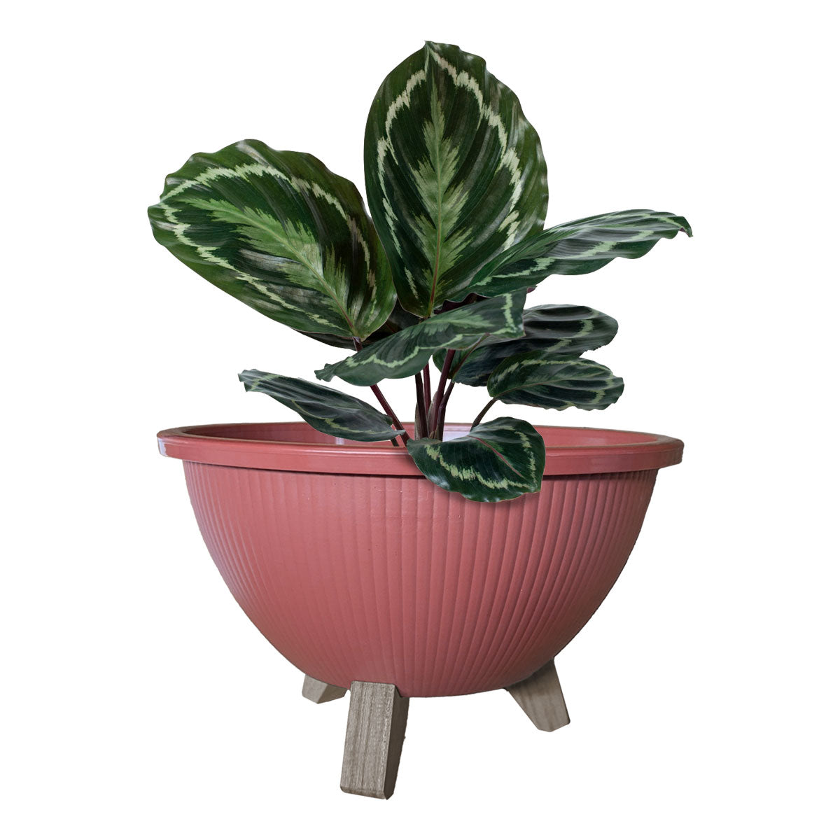 SET X 2 - Matera Piso Eco Wood