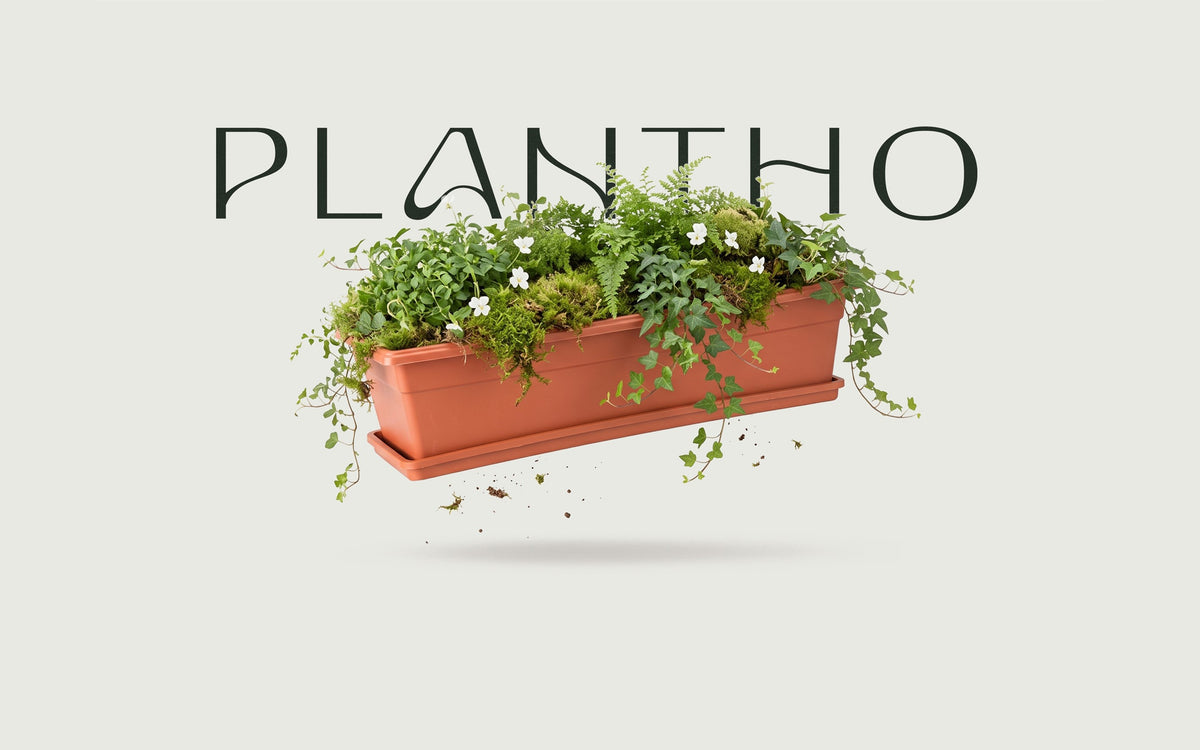 Jardinera plástica terracota con plantas colgantes y flores, Plantho.co