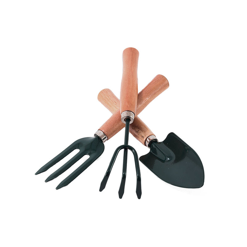 Kit de herramientas de jardín – Plantho.co