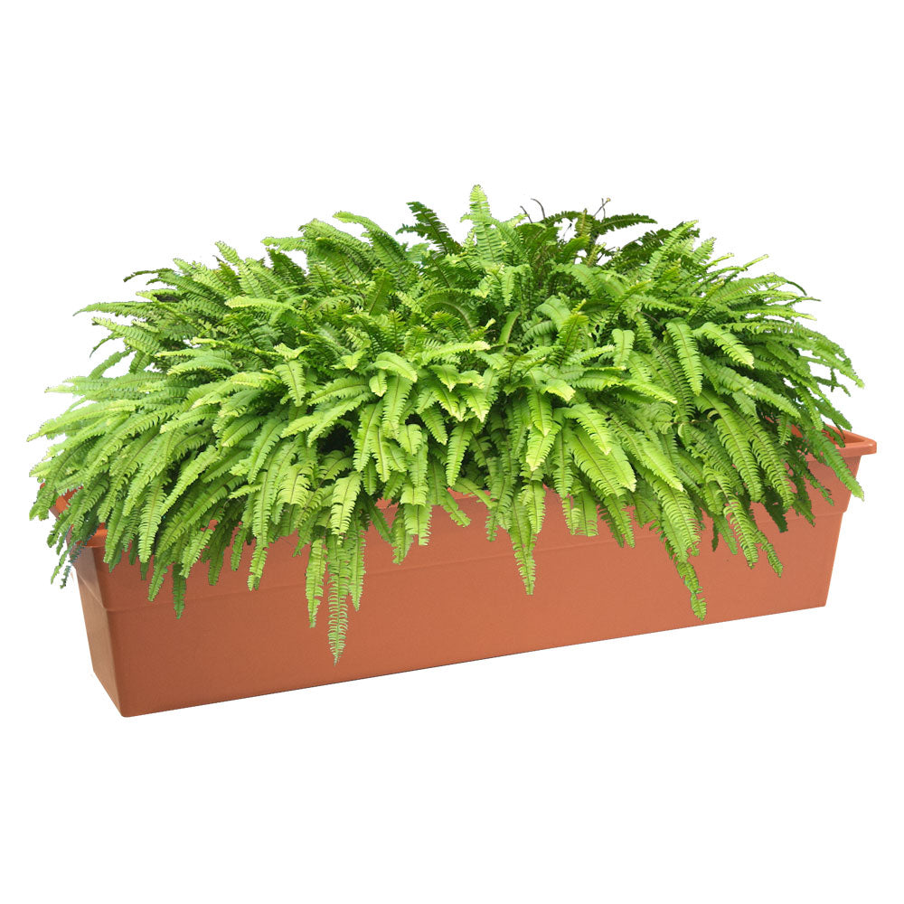 Jardinera plástica 80 cm – Plantho.co