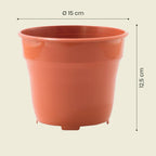 Medidas matera plástica 15 cm – Plantho.co